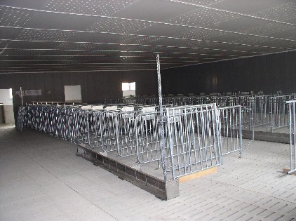 Baufotschritt Deckbereich