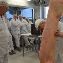 eine Gruppe bei der Schauzerlegung