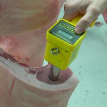 Messung Fleischqualität