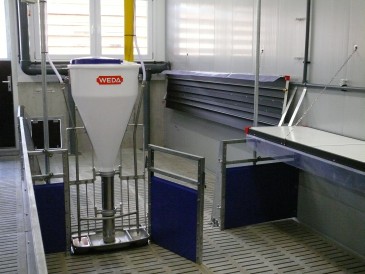 Breifutterautomat, Abtrennmöglichkeit Bucht (Abteil 8, Spaltenboden mit 14 mm Schlitzen in ganzer Bucht)