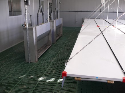 Fütterung über Twin Feeder (wahlweise Trocken oder Flüssigfütterung)