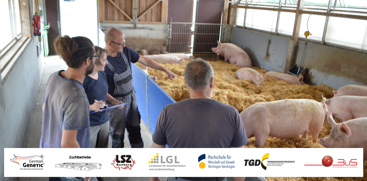 Vier Personen tauschen sich stehend vor einem mit Stroh eingestreuten Stall, in dem sich Sauen der Rasse Deutsches Edelschwein befinden, aus.