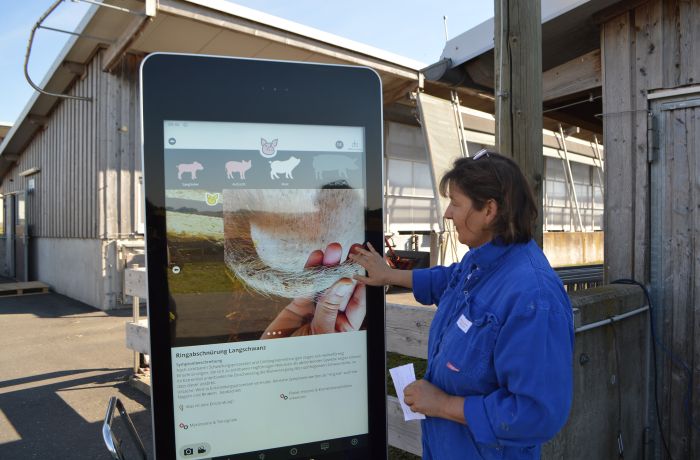 Veranschaulichung einer App auf überdimensionalem Touchbildschirm