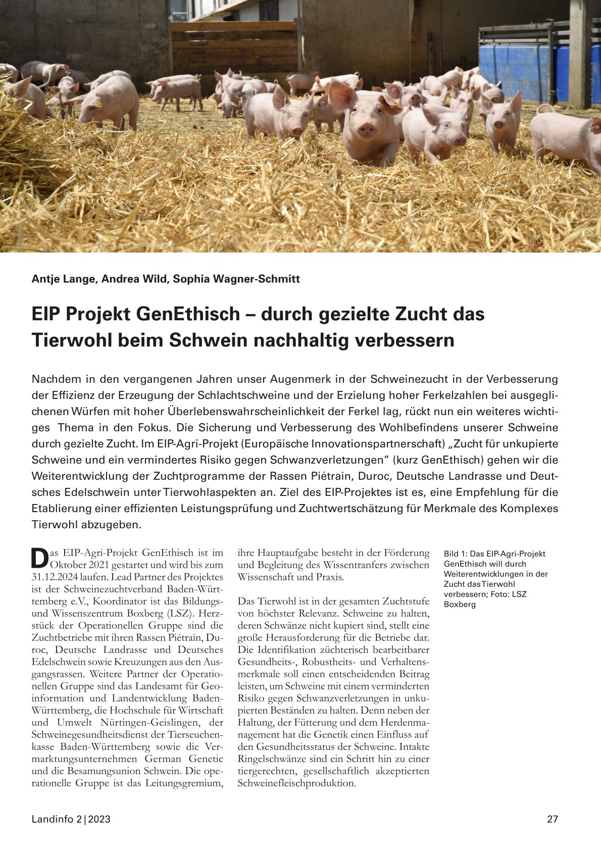 Artikel zum Projekt in der Landinfo, Seite 1