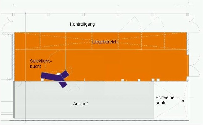 Übersicht über das Haltungsverfahren mit Bodengestaltung