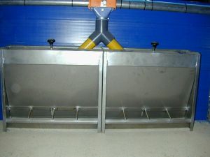 Trockenfutterautomat, der in allen Buchten der Ferkelaufzucht im Einsatz ist