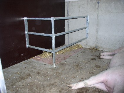 Liegebereich Sau und Ferkel