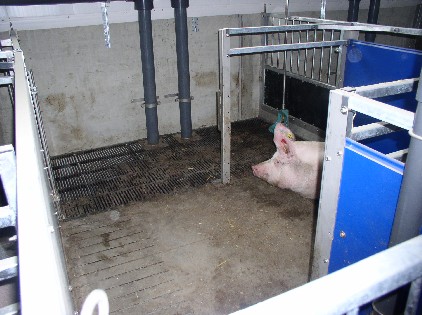 Bodengestaltung FAT2 Bucht