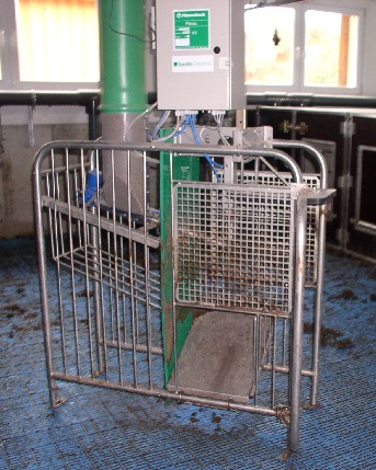 Breinuckel