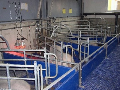 Kastenstand-diagonale Aufstallung