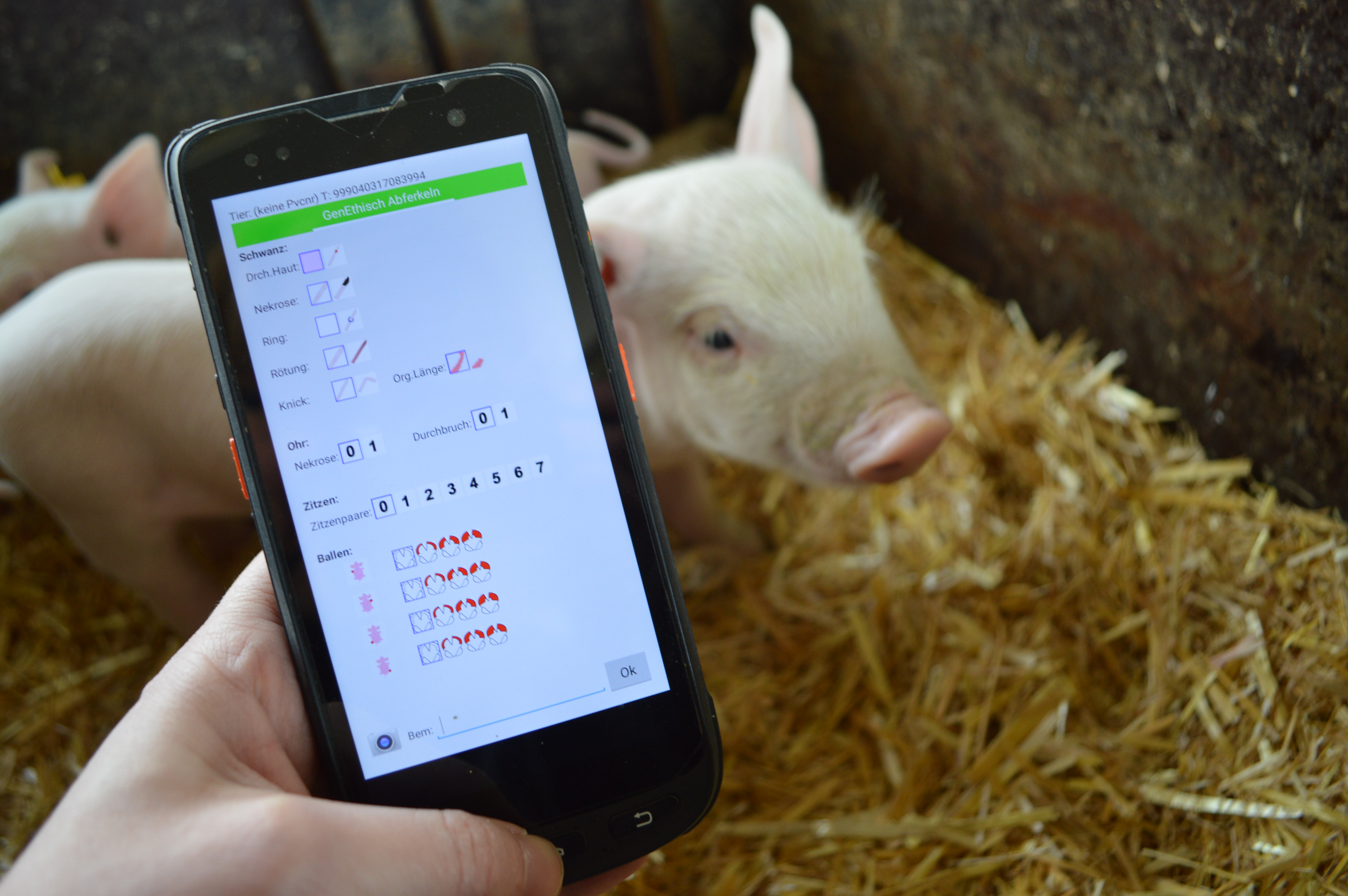 Das mobile Handheld zeigt einen Ausschnitt der Bonitur-App, die für die digitale Merkmalserhebung genutzt wird.