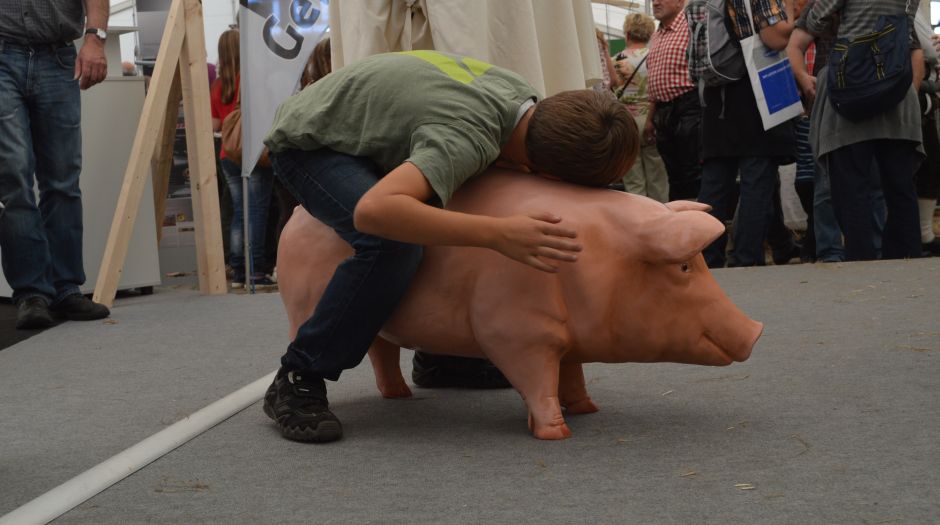 Kind liegt auf einem Plastikschwein