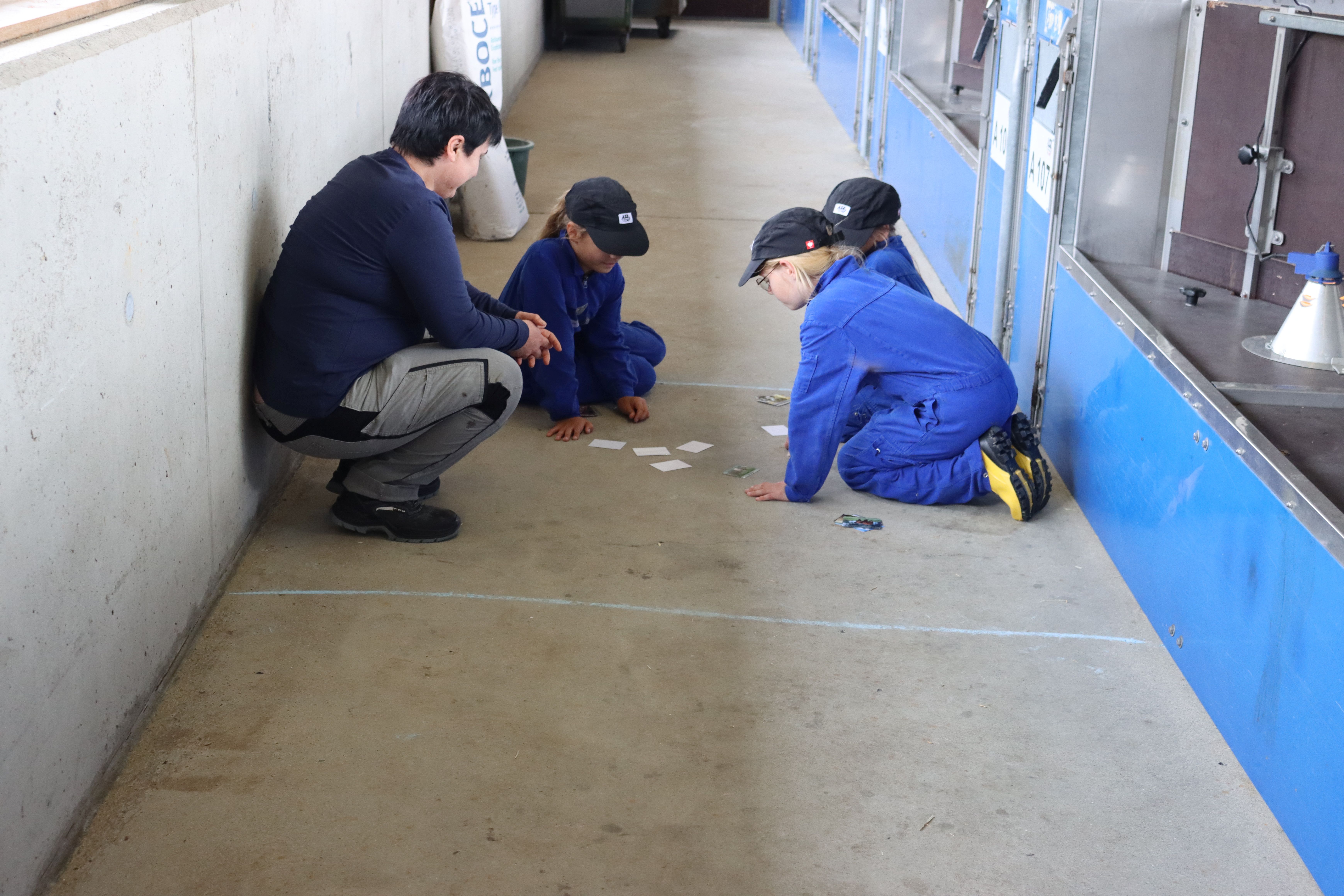 Das Bild zeigt eine Gruppe Kinder beim Memoryspielen.
