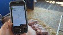 Blick auf ein Gerät zur Erfassung digitaler Daten im Stall 