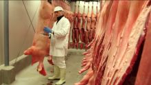 Schlachtkörper im Kühlhaus