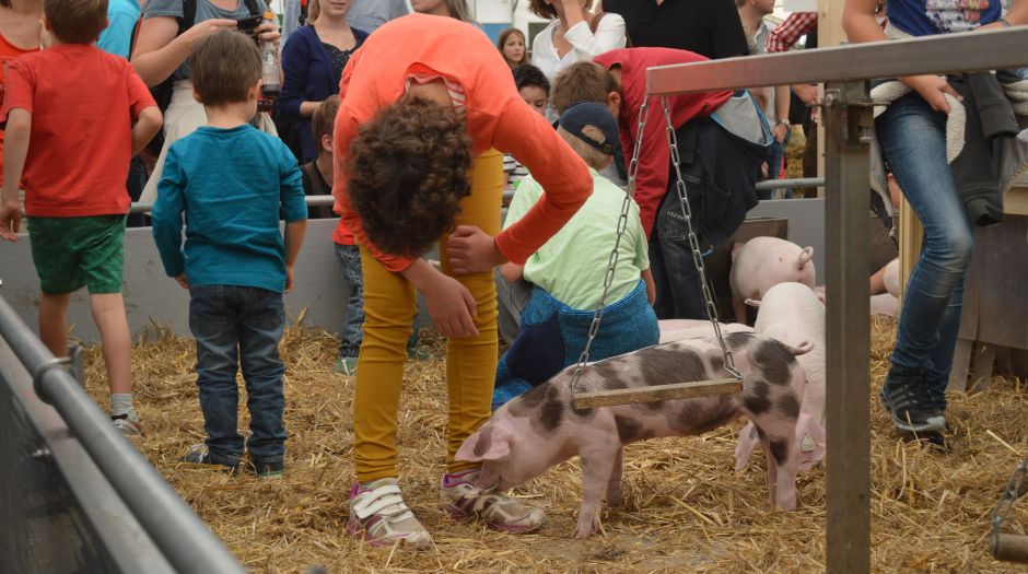 Besucher des Landwirtschaftlichen Hauptfestes im Ferkelgarten
