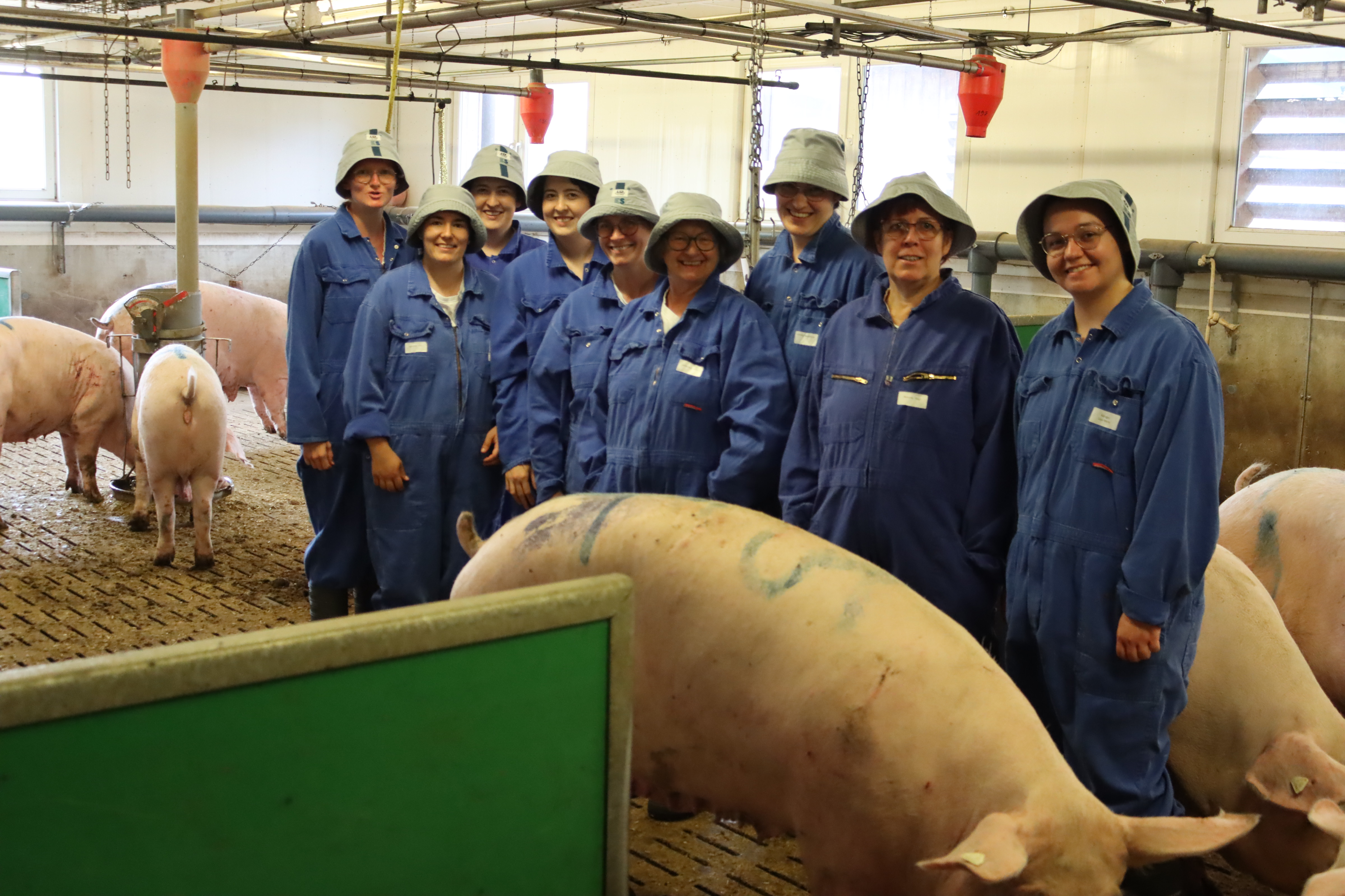 Das Bild zeigt eine Gruppe Dorfhelferinnen im Stall der trächtigen Sauen