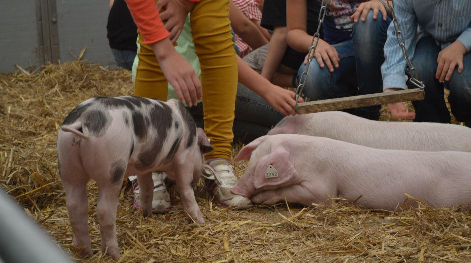 Besucher des Landwirtschaftlichen Hauptfestes im Ferkelgarten