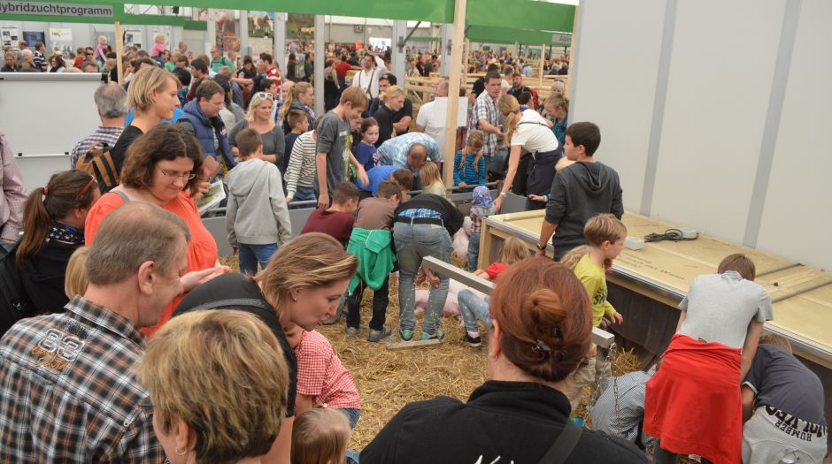 Besucher des Ferkelgartens