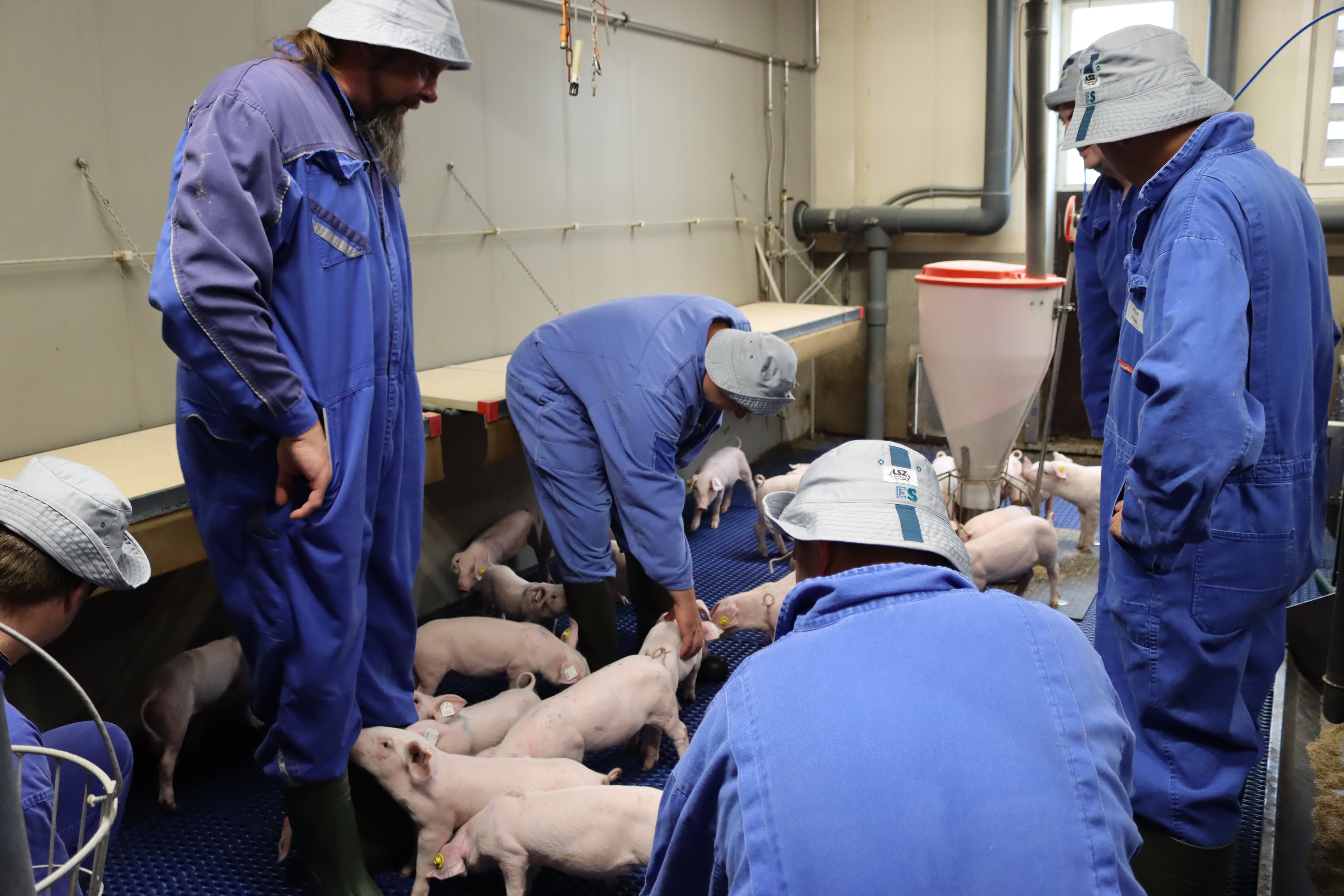 Das Bild zeigt eine Gruppe Feuerwehrleute im Ferkelaufzuchtstall
