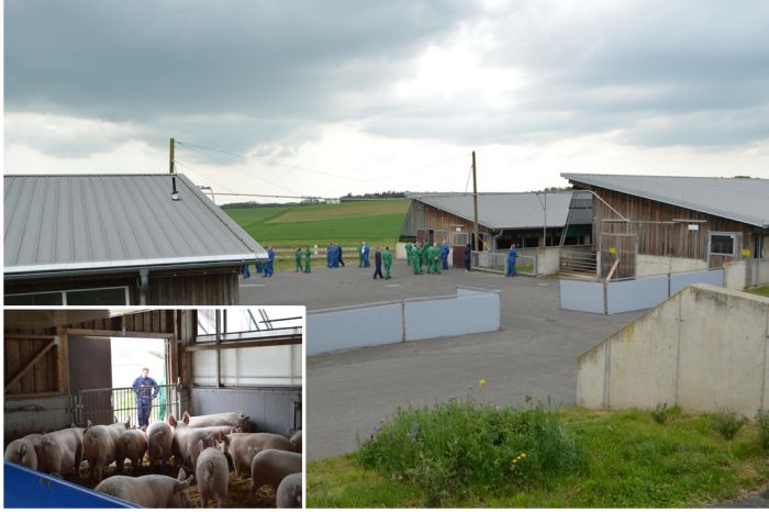 Besuchergruppe zwischen Schweineställen. Ein LSZ-Mitarbeiter erklärt etwas.