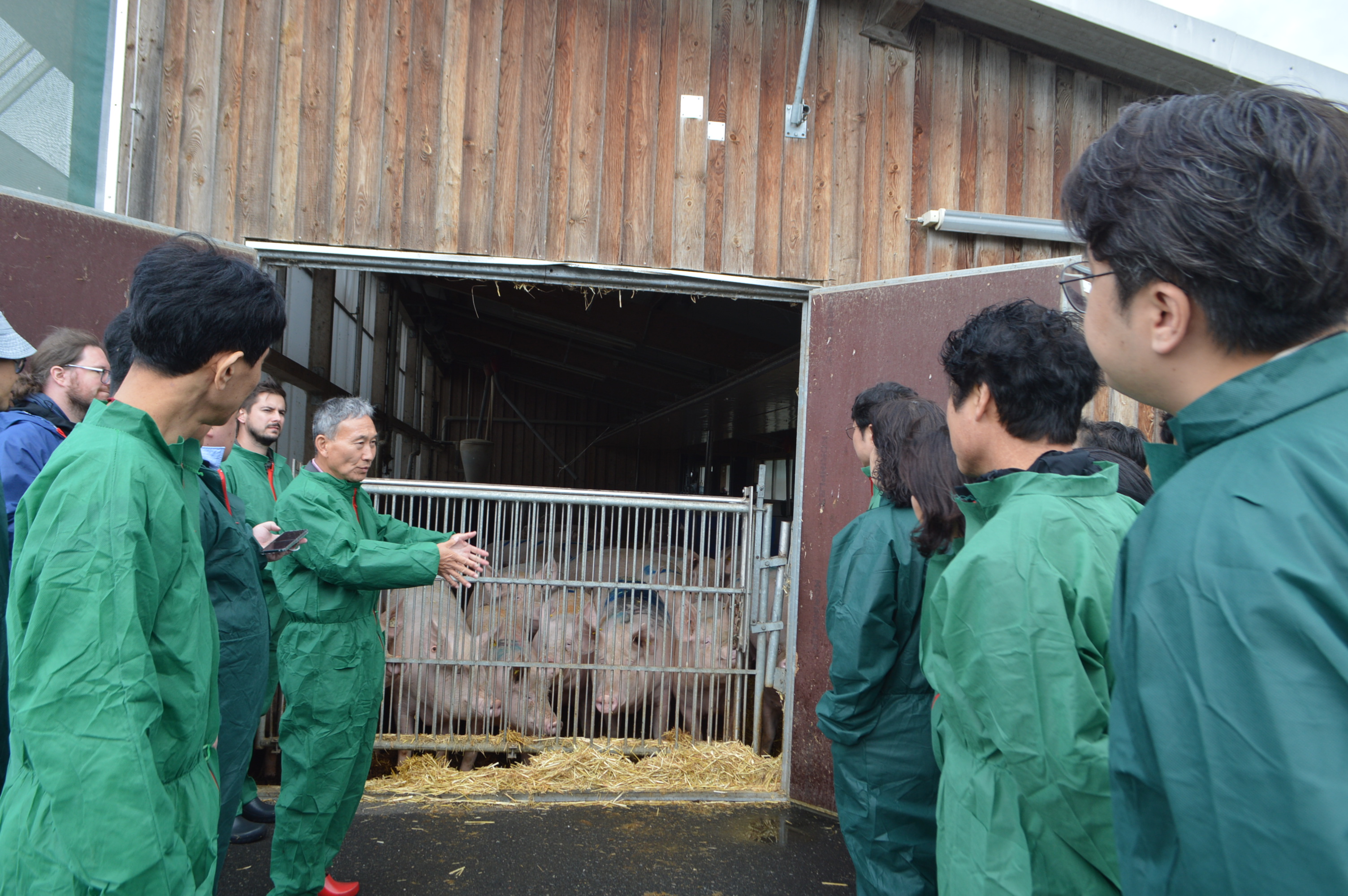 Koreanische Veterinäre vor dem Stall der tragenden Sauen